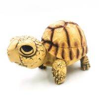 โมเดลเต่าเรซิ่น เต่าบกยูนิฟอร่า ขนาด 12 ซม yniphora/angonoka tortoise