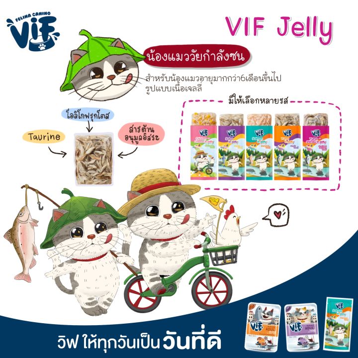 vif-อาหารเปียกซองแมว-สูตรบำรุงร่างกาย-12-ซอง