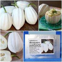 เมล็ดพันธุ์ ฟักทองขาว แมสซ์โปเตโต้ Mashed Potato Squash F1 Seed 10 เมล็ด คุณภาพดี ราคาถูก ของแท้