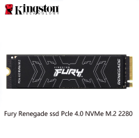 Kingston Fury Renegade SSD (500GB, 1TB, 2TB, 4TB) PCIe 4.0 NVMe M.2 2280 High performance SSD