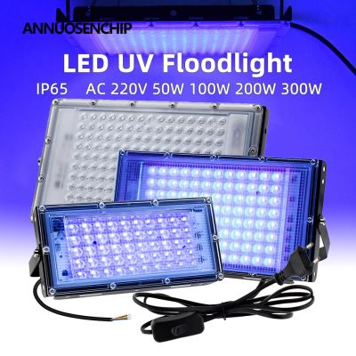 LED UV Floodlight 300W 200W 100W 50W AC 220V IP65 Waterproof Ultraviolet Lamp for Halloween Xmas Dance DJ Disco Party Bar Light Rechargeable Flashligh