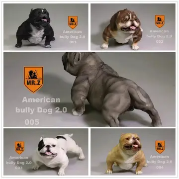 American Bully Dog 2.0 005 (Grey) 1/6 Scale Figure