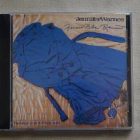 Jennifer Warnes blue raincoat CD