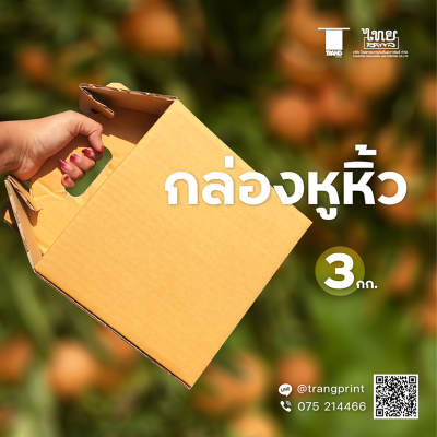 ( ขายเป็นใบ ) กล่องใส่ผลไม้ กล่องบรรจุผลไม้ กล่องลูกฟูกใส่ผลไม้ 3/5 ชั้น ไม่พิมพ์ลาย