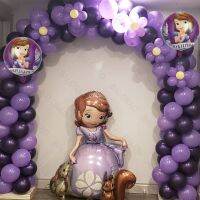 Disney Princess Sofia Aluminum Ballons Kid Girl Birthday Party Decoration Baby Shower Toys Sophia Portrait Foil Balloons Supply Artificial Flowers  Pl