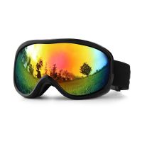 Spherical Ski Goggles New Ski Goggles Double Layer Anti-fog Male and Female Models Outdoor Ski Glasses