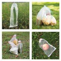 50Pcs nylon garden protection bag plant seed bag anti-bird mosquito net bag vegetable and fruit protection net breeding bag