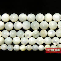 AAAA Quality Natural Shinning Trochus Shell Loose Beads 6 8 10 MM Pick Size for Jewelry Making