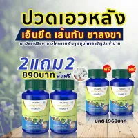 ซื้อ2แถม2++ sn9 เอสเอ็นไนน์ (1กระปุก 30 แคปซูล) SN 9 เอสเอ็น9 สมุนไพรตราเอสเอ็น9 สินค้าขายดี บรรเทาอาการปวดเมื่อย นิ้วล็อค พิมพ์งาน ส่งฟรี