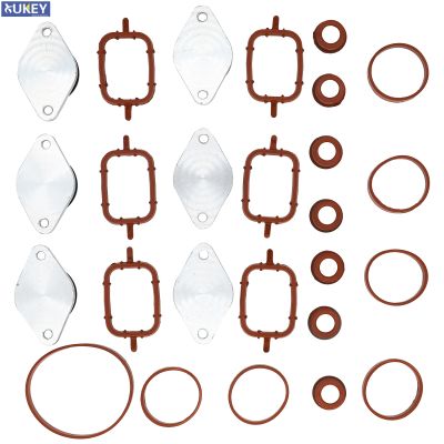 Swirl Flap Bungs Blanks Plate Intake Inlet Manifold Gasket Seal 6X 32MM For BMW M57 E39 E60 E46 E38 E53 E83 E65 E61 E92 X3 X5 X6