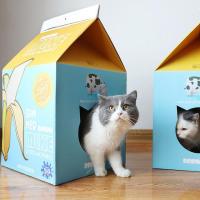 Cat Carton Nest Cat Scratcher Wear-resistant Funny Milk Carton Cat Litter Cat Supplies Cat Toy