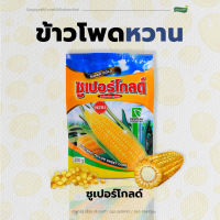 เมล็ดพันธุ์ข้าวโพดหวานลูกผสม ซุปเปอร์โกลด์ ตรา ซีดไลน์ [ปริมาณ 200 กรัม]