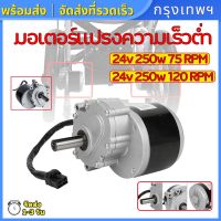 (กรุงเทพฯ พร้อมส่ง) My1016Zมอเตอร์24V 250w 75 RPM 120 RPM มอเตอร์ แรงๆแรงๆ มอเตอร์เกียร์ เฟืองฟันแปรง มอเตอร์ทองแดงบริสุทธิ์ สําหรับเครื่องตัดหญ้า