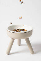 เซ็ทขาตั้งให้อาหารแมว พร้อมชาม porcelain -  catsly.co feeder table with porcelain bowl set
