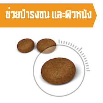 อาหารแมว-royal-canin-cat-hair-amp-skin-care-ดูแลผิวหนังและเส้นขน-2kg