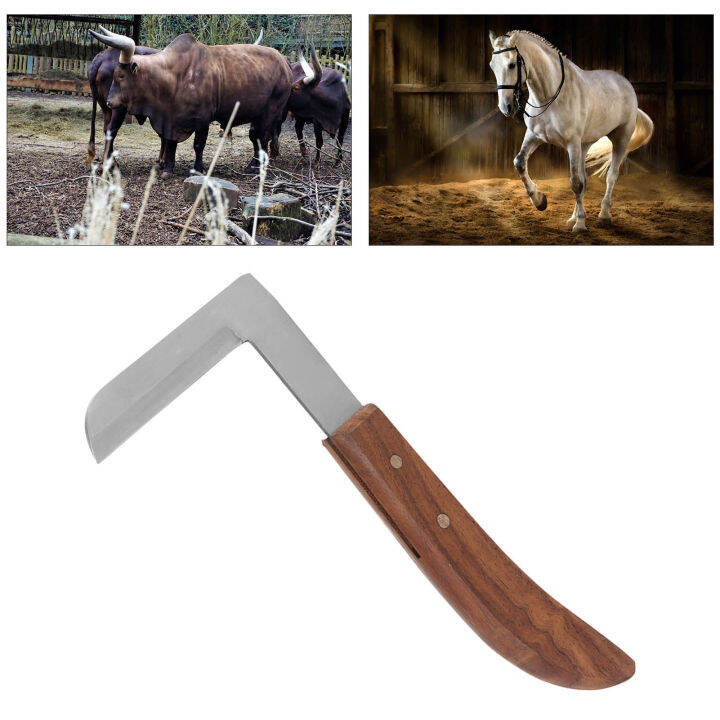 Hoof Knife Hoof Trimming Tool Effort Saving for Cattle for Horses Lazada