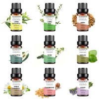 【LZ】►♚  Óleo essencial puro de 9 diferentes 10ml tomilho ou hissopo ou camomila romana 100  extração padrão de grau alimentício