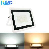 LED Flood Light 10W 20W 30W 50W 100W AC 220V Outdoor IP68 Waterproof Reflector LED Spotlight Street Lamps Wall Lamp Garden Light