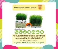 SMART GRASS ชุดปลูกต้นข้าวสาลีอ่อน ออร์แกนิค ปลอดสารพิษสำหรับสัตว์เลี้ยง 350 g.