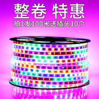 2023 แถบไฟกระโจมกลางแจ้ง led เปลี่ยนสีที่มีสีสันกลางแจ้งกันน้ำสีสว่างพิเศษตกแต่งแถบนีออนแฟลช [2 เดือน 6 สิ้นสุดวัน ]