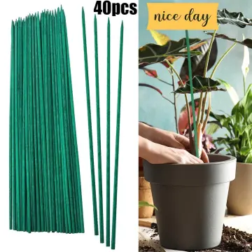 25pcs 20 Green Bamboo Plant Stakes, Plant Sticks Support, Floral Plant  Support