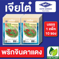 ผักซอง เจียไต๋ CT15 เมล็ดพันธุ์ พันธุ์ผัก พริกจินดาแดง บรรจุแพ็คล่ะ 10 ซอง ราคา 70 บาท