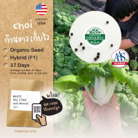 ?เมล็ดนำเข้า ผักฉ่อยก้านขาว White Pac Choi (Organic Seed) AAS WINNER สายพันธุ์นี้มีรางวัล กวางตุ้งฮ่องเต้