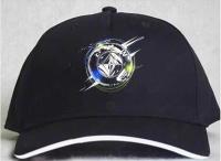 BMW Best Selling Baseball Caps men/WOMEN Fashion Caps STYLE12