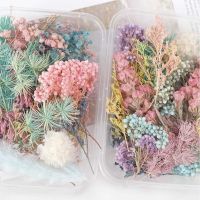 1 Box Real Dried Flower Dry Plants For Aromatpy Candle Epoxy Resin Pendant Necklace Jewelry Making Craft Diy