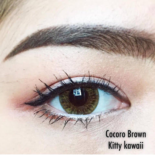 คอนแทคเลนส์-kitty-kawaii-cocoro-gray-brown-blue-ค่าสายตา-0-00-ถึง-10-00