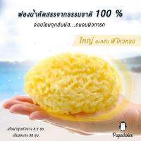 Papachoice ฟองน้ำธรรมชาติอย่างดี  ผลิตภัณฑ์จากทะเลเมดิเตอร์เรเนียน ผ่านการฟอกจากประเทศกรีก  ใช้สำหรับทำความสะอาดผิวหนังเด็ก SP08