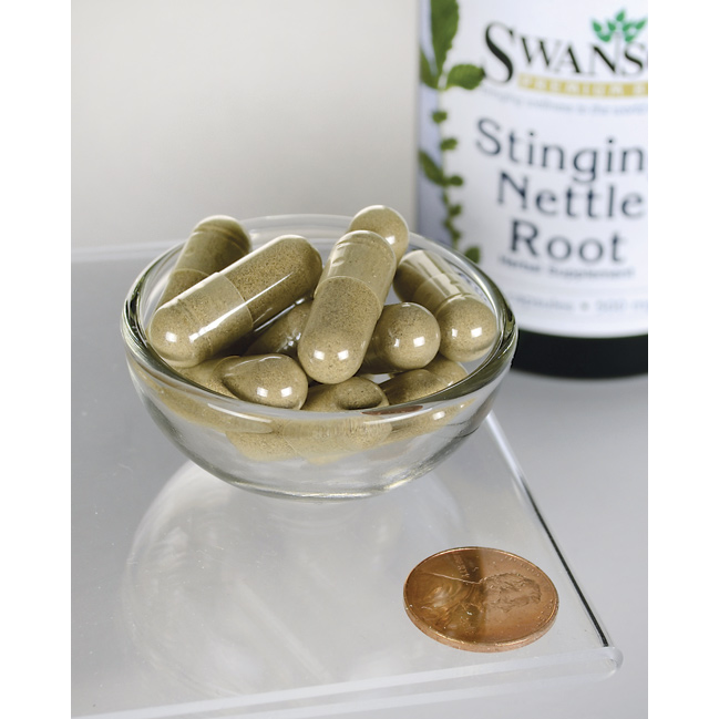 swanson-stinging-nettle-root-500-mg-100-capsules-สารสกัดจากรากตำแย