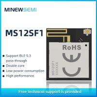 【YD】 nRF7002 nRF5340 WiFi 6 BLE 5.3 Module MS12SF1 2.4G and 5G Connection Mode Modul