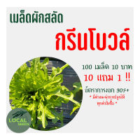 ?เมล็ดผักสลัดอินทรีย์ กรีนโบวล์ 100 เมล็ด 10แถม1 ?อัตราการงอกสูง มีคู่มือการปลูกทุกซอง เมล็ดพันธุ์ เมล็ดพันธุ์ผัก