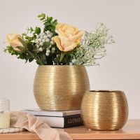 Gold-plated ceramic wire drawing fleshy round flowerpot ins European living room decoration vase flower device