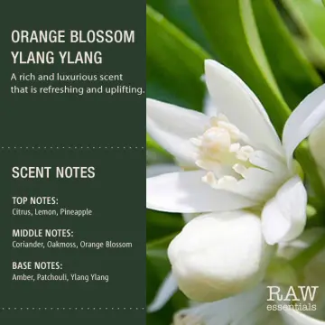 Orange Blossom Natural Essential Roll On Oil 8.8ml