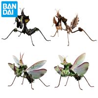 Corinada Bandai Genuine Insects Gashapon Toys Simulated Movable Assembled Idolomantis Action Figures Model Ornament for Kids Gift