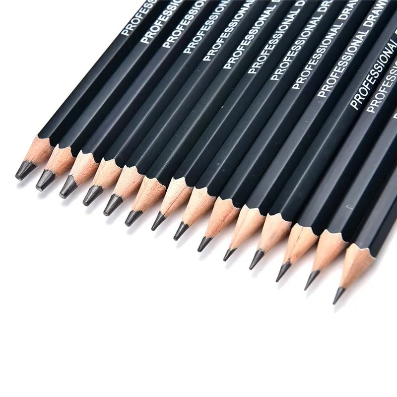 Drawing Pencils 14pcs/set 12B 10B 8B 7B 6B 5B 4B 3B 2B B HB 2H 4H 6H  Graphite Sketching Pencils Professional Sketch Pencils Set for Drawing