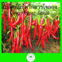 เมล็ดพันธ์ุพริกยาวโจลอง - Jo Long Pepper Seeds