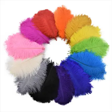 10pcslot Ostrich Feathers For Crafts White Big Ostrich Feather On The  Middle Of The Table Centerpieces Dream Catcher Decoration