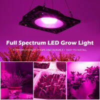 500W LED Grow Light Full Spectrum 220V พร้อม Honeycomb Cooling สำหรับพืชในร่ม Gorwth Light สำหรับ Seeding VEG ดอกไม้