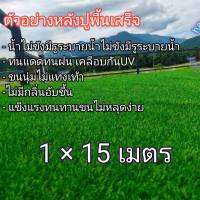 หญ้าเทียมขนาด1×15เมตรAAAขนสูง2cm. (15ตารางเมตร)ขนนุ่มพร้อมส่ง Artificial grass size 1×15 meters AAA, feather height 2cm.