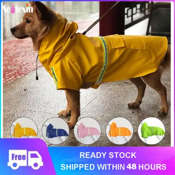 Frog raincoat for on sale dogs