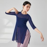 ☊ Spring Classical Dance Exercise Clothing Female Dance Adult Ballet Elastic Mesh Top National Dance Body Suit