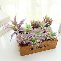 Artificial Succulents Plants Small Medium Large Purple Flocked Bonsai Home Garden Bedroom Accessories Plant Decor Wall Hanging