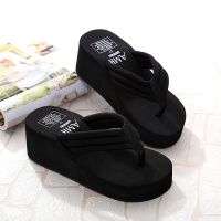 the summer of 2022 new slippers women high-heeled platform shoes fashion thick bottom anti-slip beach ms word cool