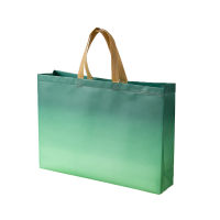 Female Travel Bag Storage Bags Handbag Ladies Shopping Bag Foldable Bag Non-woven Bag Large Capacity Bag