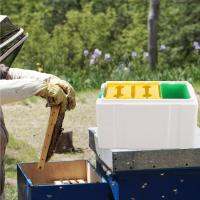 Beekeeping Hive ประกอบชุดอุปกรณ์รังผึ้ง Honeybees Feeder Starter Plastic Foam Keeper เริ่มต้น