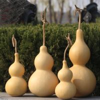 every size natural dried calabash&amp;cucurbit for home decorations Nails Screws Fasteners