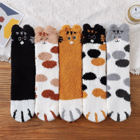 5 Pairs New Three-dimensional Ear Embroidery Cat Claw Coral Fleece Socks Cartoon Cat Confinement Warm Women Sleeping Socks